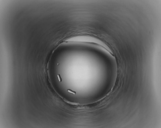 X0000110980415200906261433