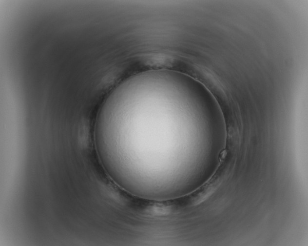 X0000110980416200906261433