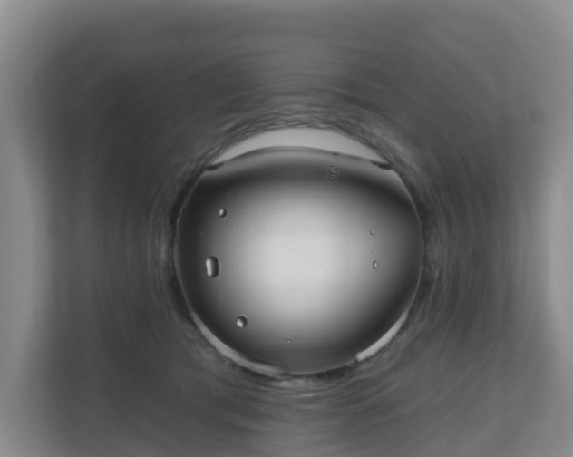 X0000110980417200906261433