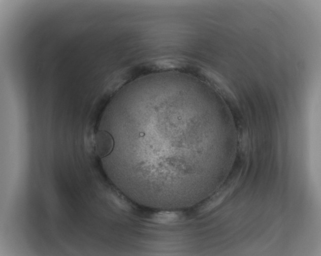 X0000110980418200906261433