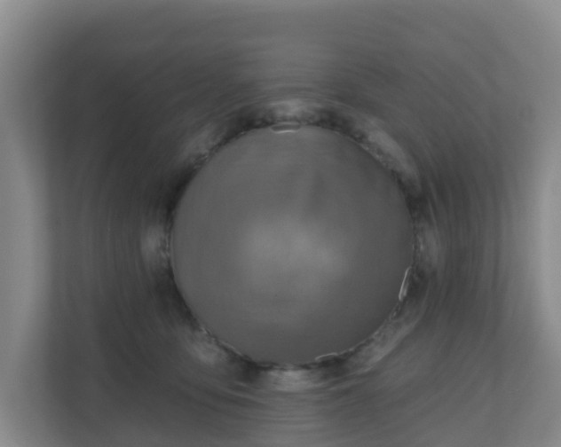 X0000110980419200906261433