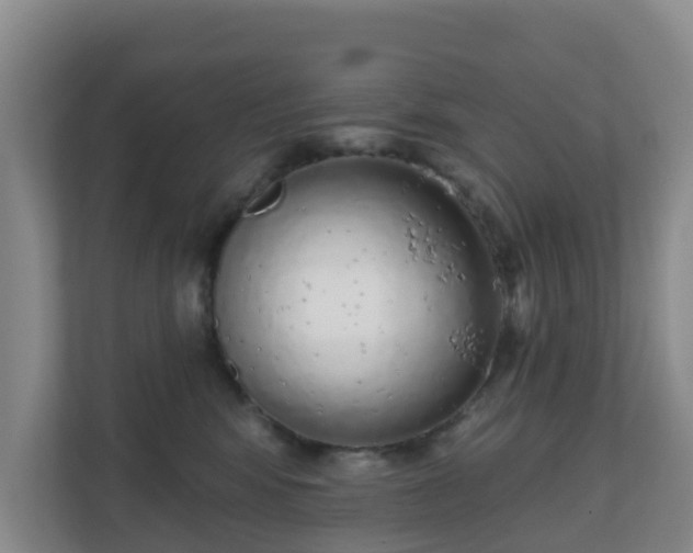 X0000110980424200906261433