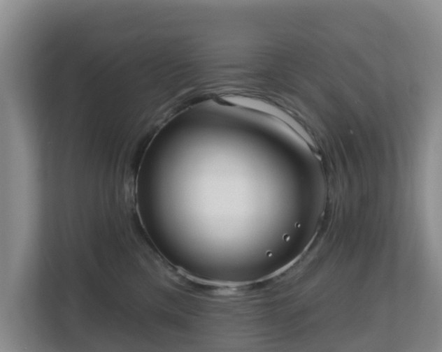 X0000110980425200906261433