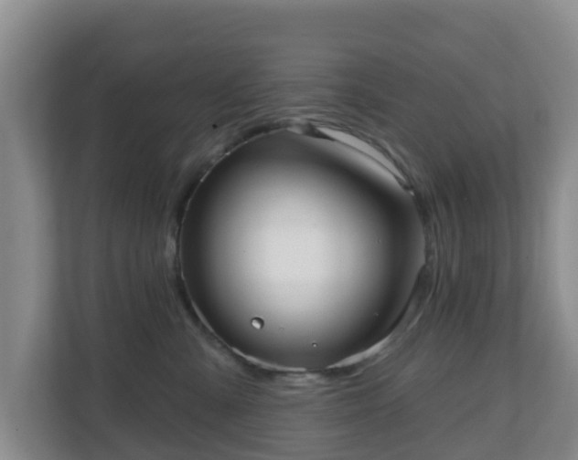 X0000110980427200906261433