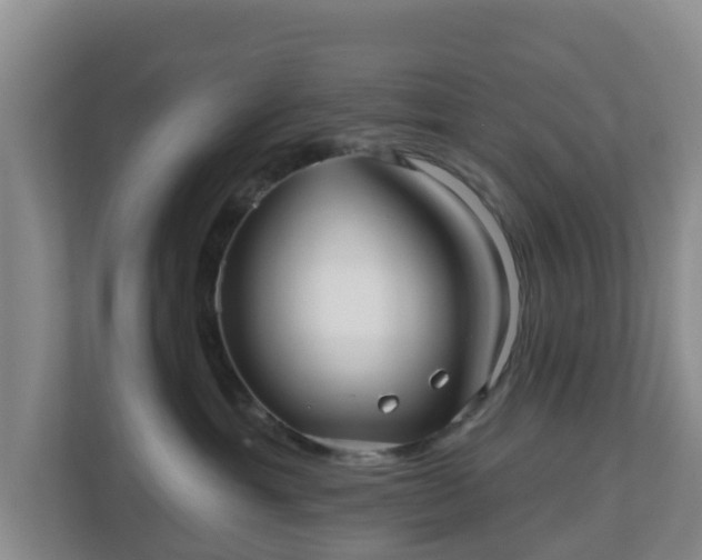 X0000110980429200906261433