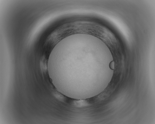 X0000110980431200906261433