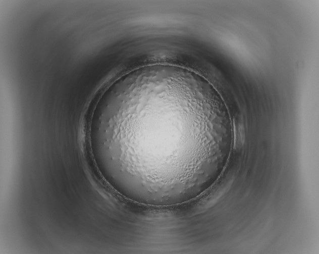 X0000110980435200906261432