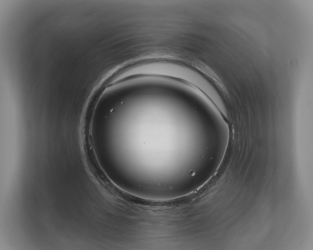 X0000110980436200906261432