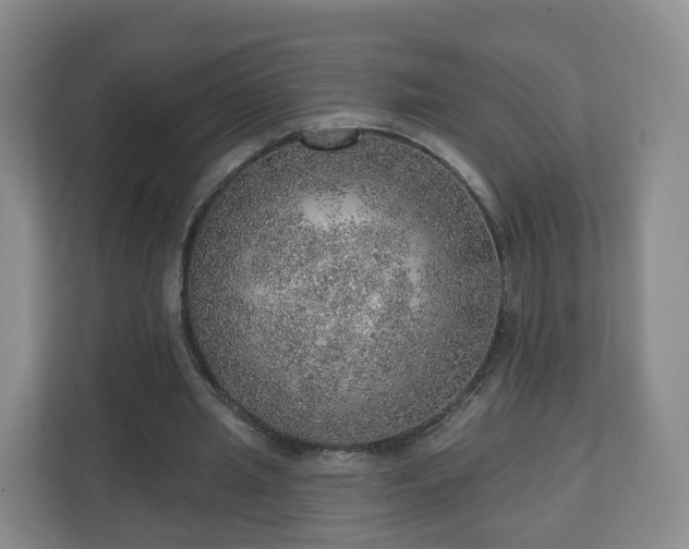 X0000110980437200906261432