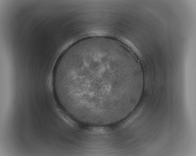 X0000110980439200906261432