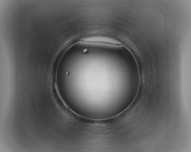 X0000110980444200906261432