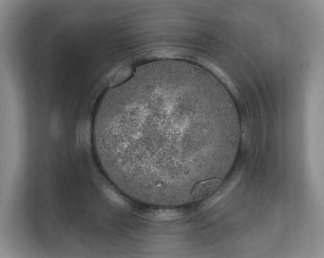 X0000110980445200906261432