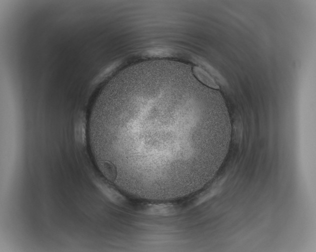 X0000110980446200906261432