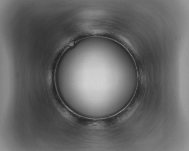 X0000110980447200906261432