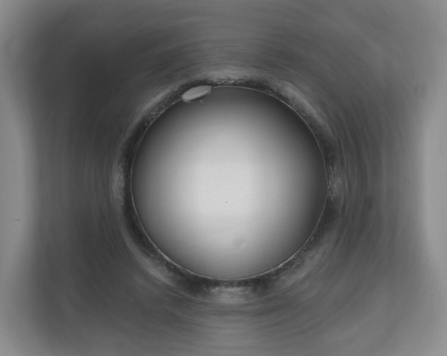 X0000110980448200906261432