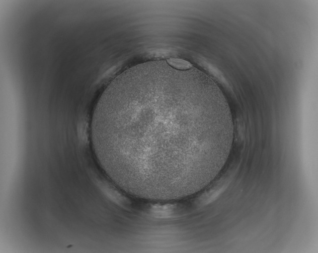 X0000110980450200906261432