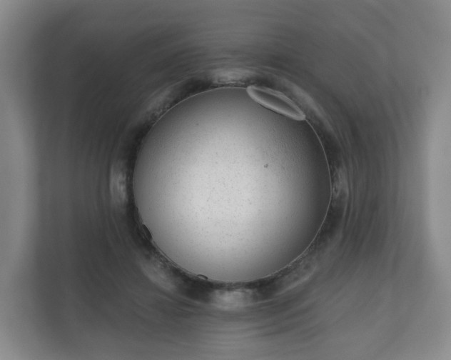 X0000110980452200906261432