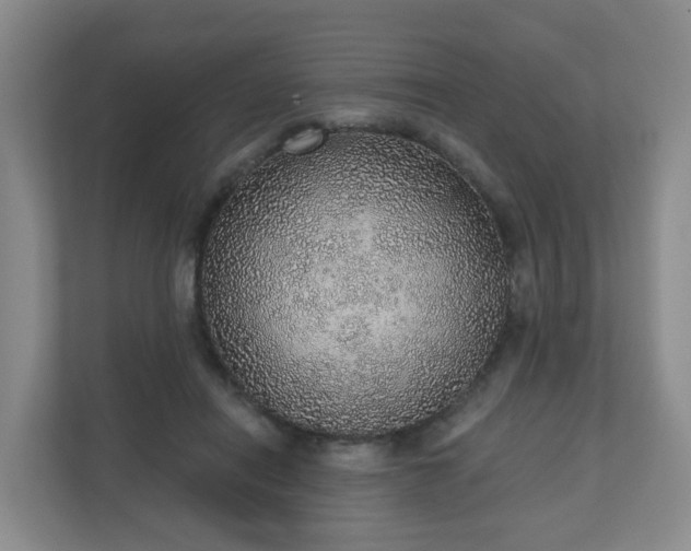 X0000110980454200906261432