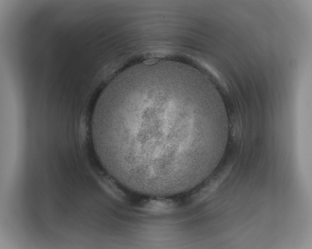 X0000110980455200906261432