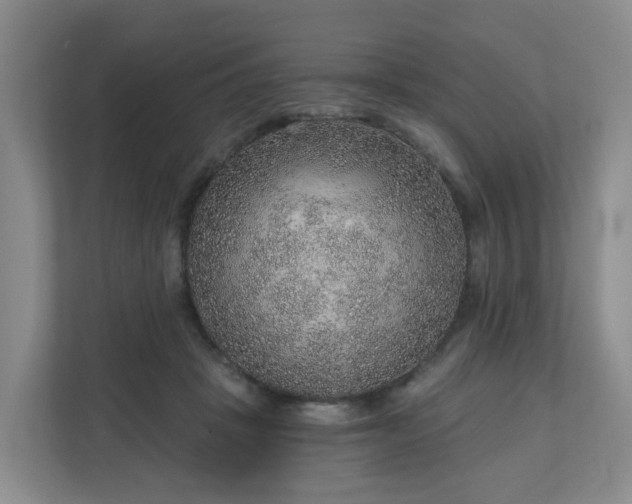 X0000110980457200906261433