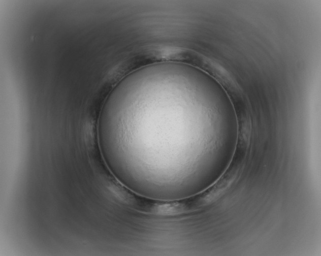 X0000110980461200906261433