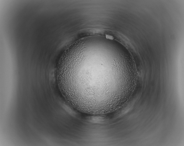 X0000110980462200906261433