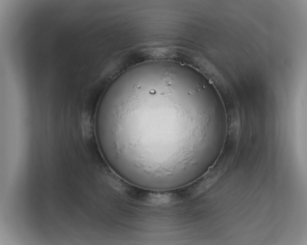 X0000110980469200906261433