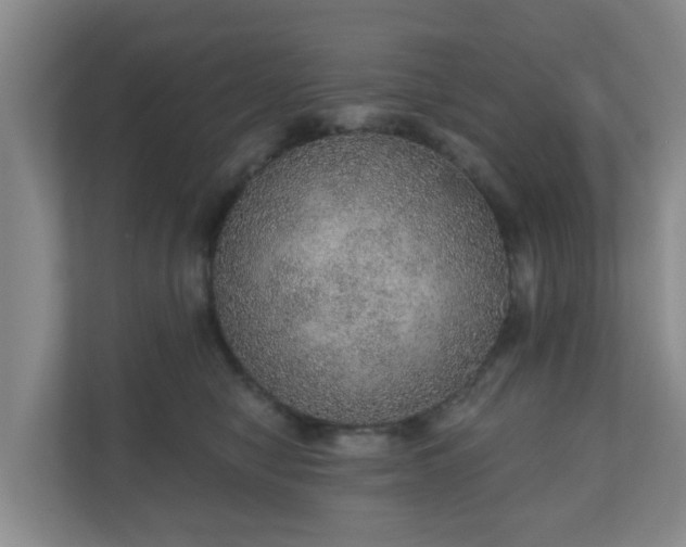 X0000110980470200906261433