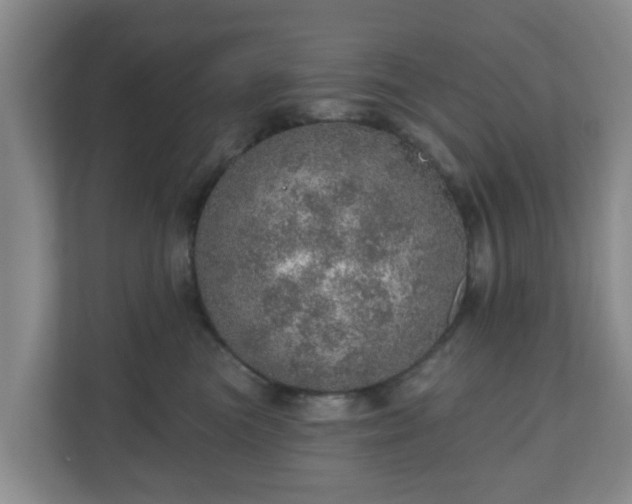 X0000110980473200906261433