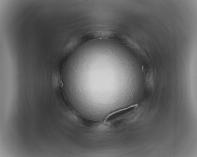 X0000110980474200906261433