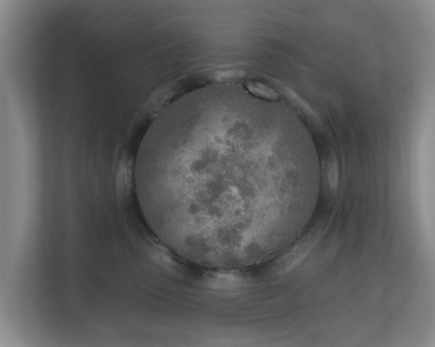 X0000110980475200906261433