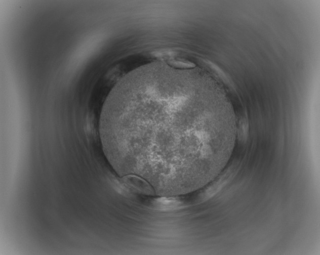 X0000110980477200906261433