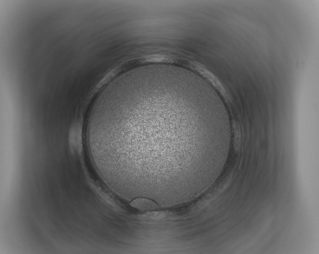 X0000110980482200906261432