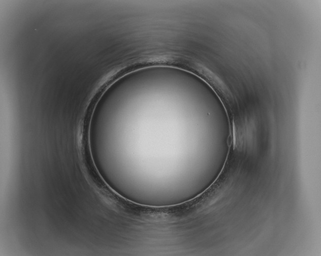 X0000110980483200906261432