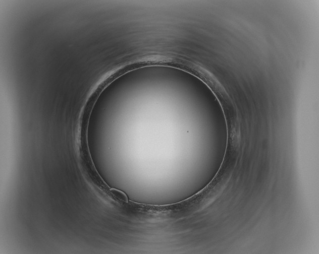 X0000110980484200906261432