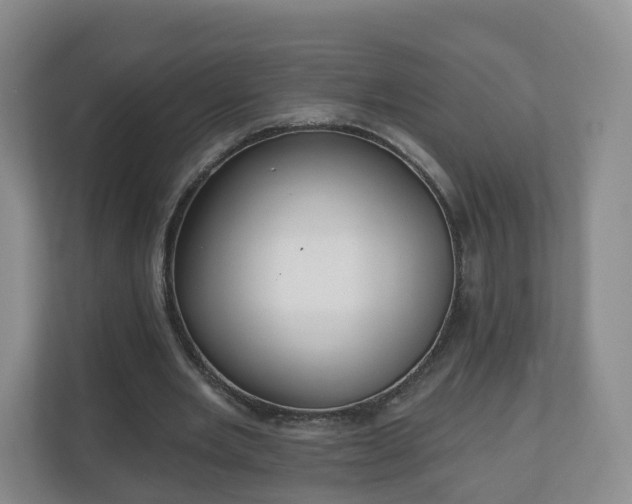 X0000110980485200906261432