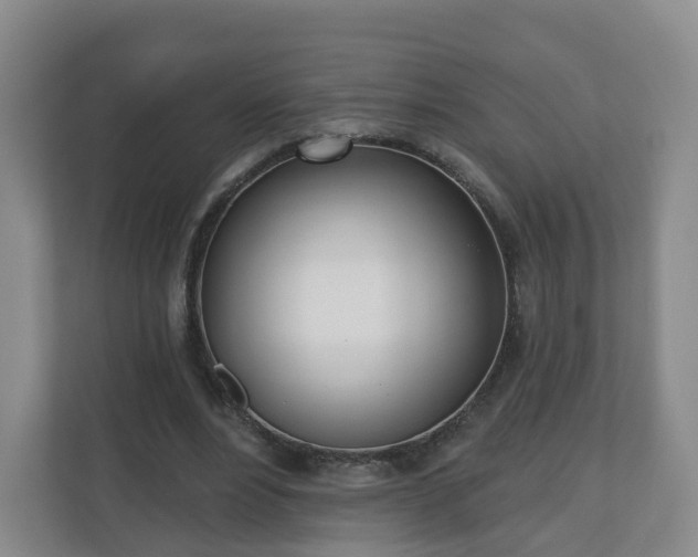 X0000110980488200906261432