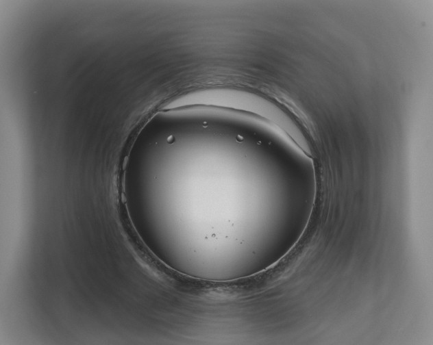 X0000110980489200906261432