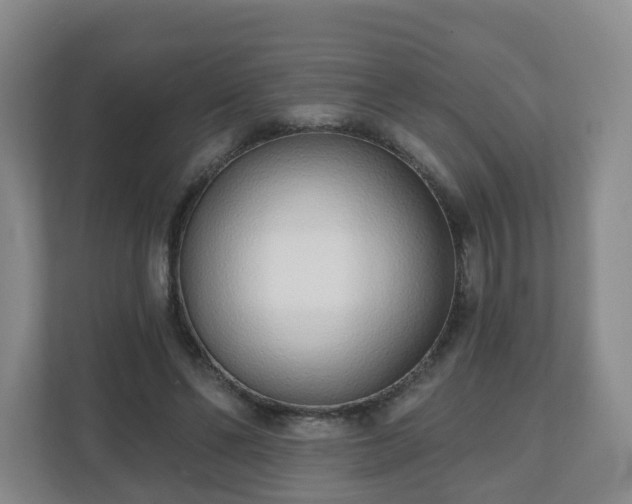 X0000110980494200906261432