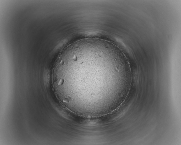 X0000110980495200906261432