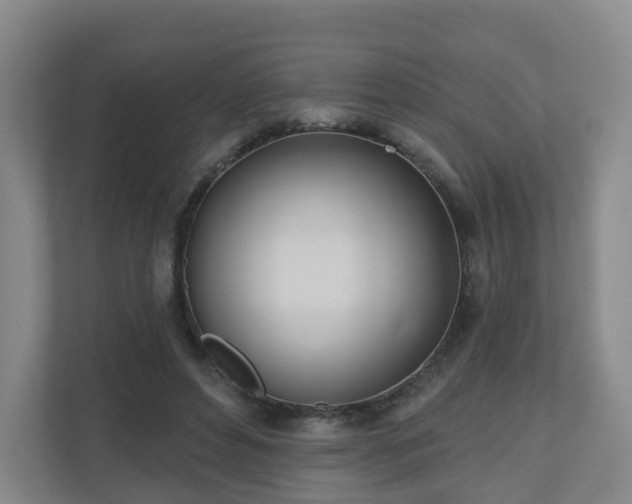 X0000110980496200906261432