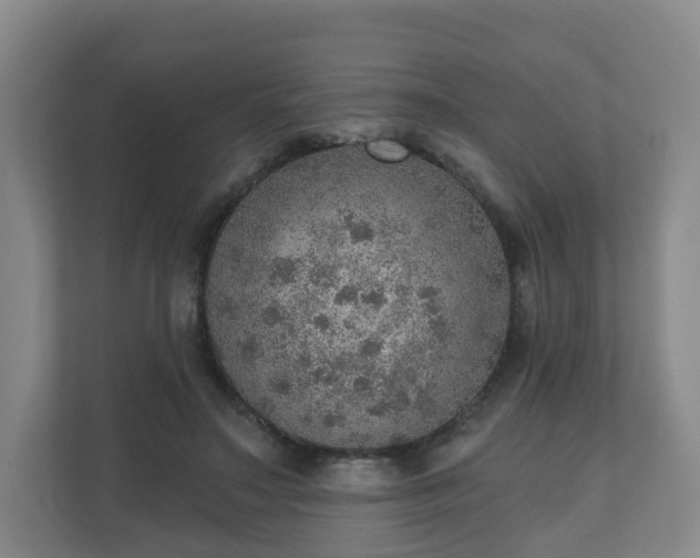 X0000110980499200906261432