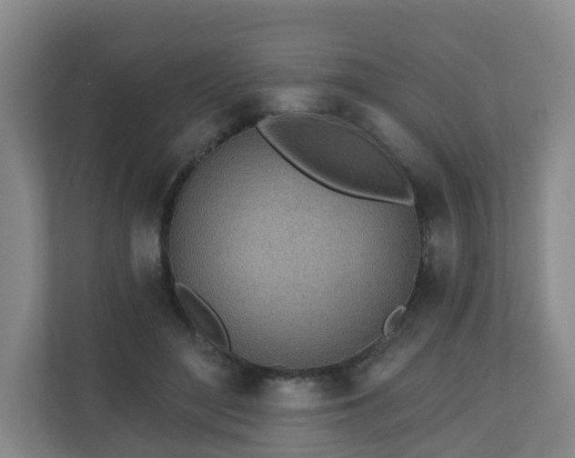 X0000110980500200906261432