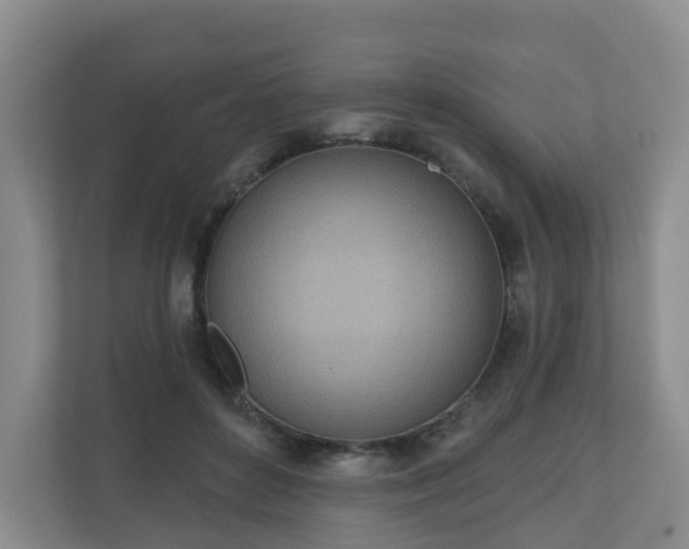 X0000110980504200906261432