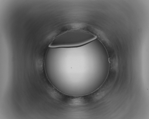 X0000110980505200906261432