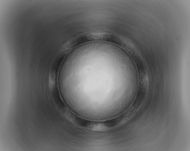 X0000110980507200906261432