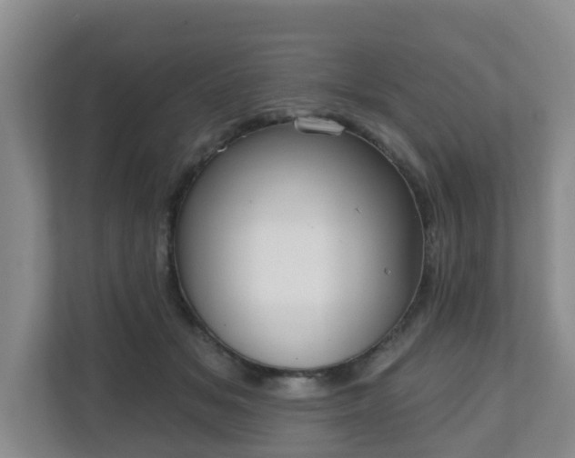 X0000110980509200906261432