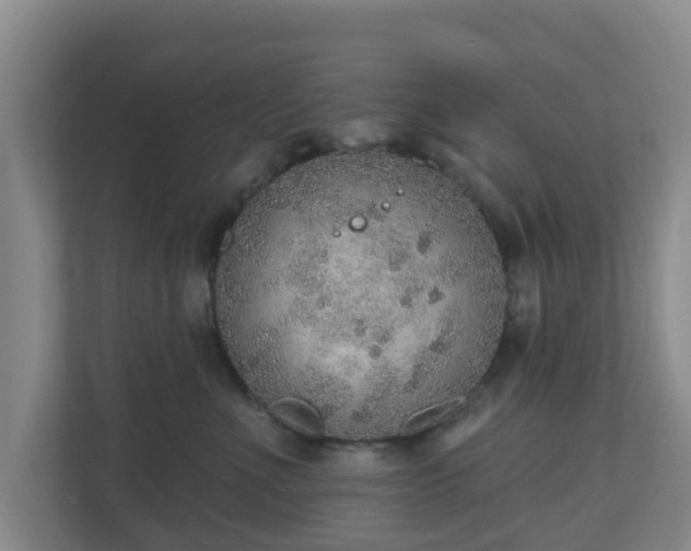 X0000110980523200906261432