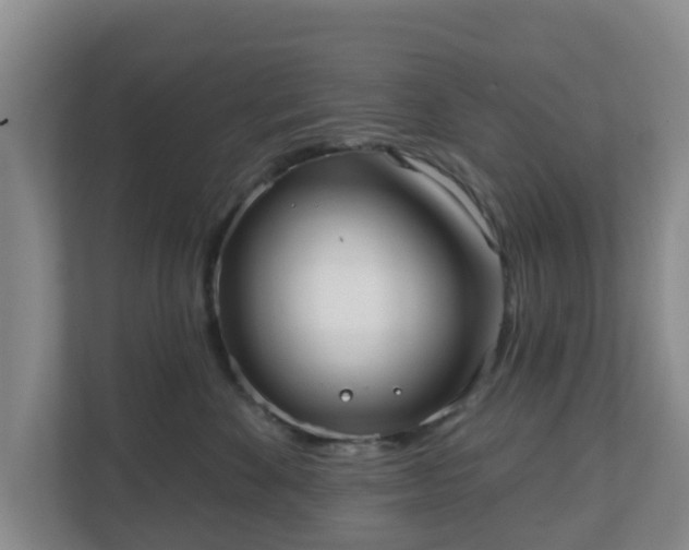 X0000110980524200906261432