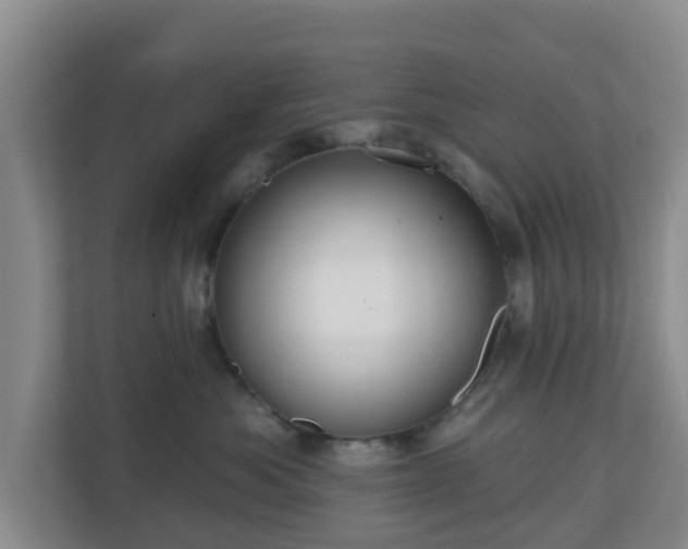 X0000110980525200906261432